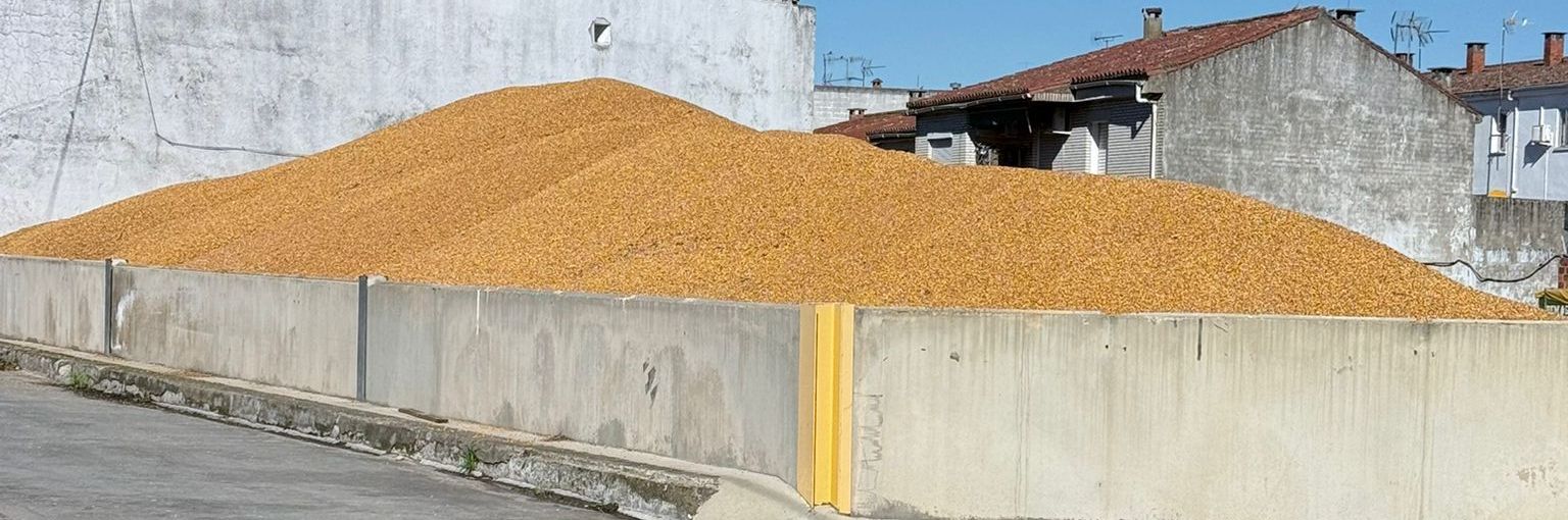 cereal grain farming